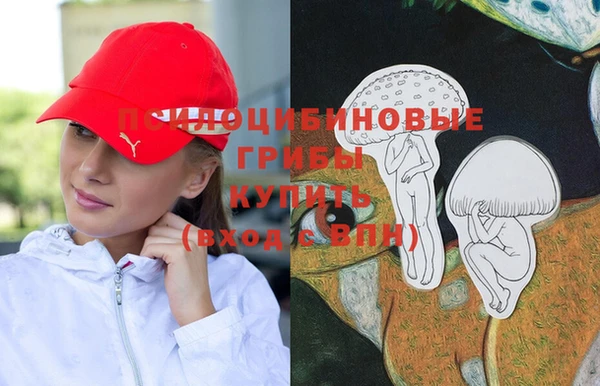 винт Алексин