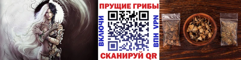Галлюциногенные грибы прущие грибы Закаменск