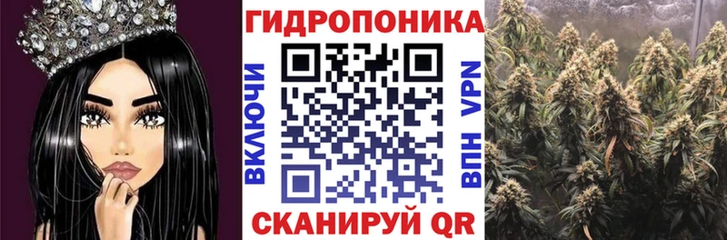 darknet официальный сайт  Закаменск  Шишки марихуана гибрид  купить  